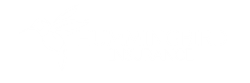 Hummingbird Insurance ♡